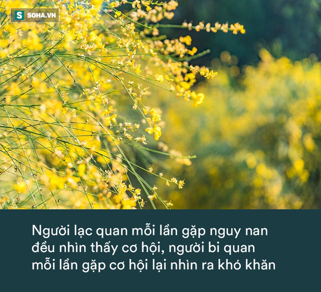  Đưa con vào nhà xe đầy phân ngựa, lúc quay lại, ông bố kinh ngạc khi nghe những gì con nói - Ảnh 1.