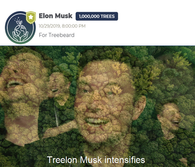 Ai cũng ăn mừng triệu người đăng ký như youtuber này, còn được Elon Musk ủng hộ, Trái Đất chẳng mấy mà được phủ xanh - Ảnh 5.