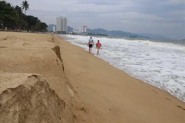  Trước bão số 6: Kỳ lạ “tường” cát cao gần 1m xuất hiện ở biển Nha Trang - Ảnh 2.