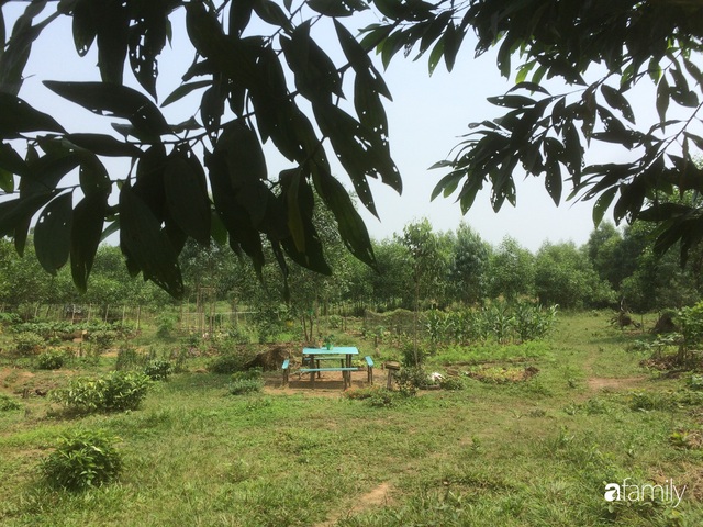 Câu chuyện của hai cô gái 9x về Hà Tĩnh mở trang trại rau quả sạch và giấc mơ sống gần hơn với thiên nhiên  - Ảnh 56.