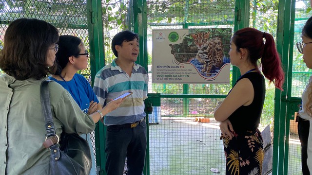Bệnh viện Gia An 115 giao trả một cá thể mèo rừng cho Trung tâm Bảo tồn động vật hoang dã tại Việt Nam, Vườn Quốc gia Cát Tiên - Ảnh 1.