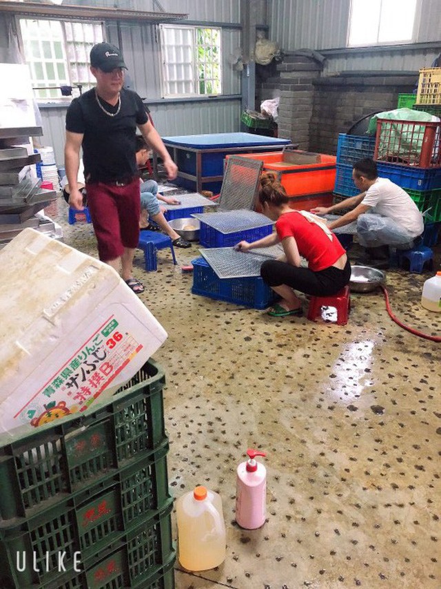 Đằng sau những căn nhà bạc tỷ ở làng xuất khẩu lao động Hà Tĩnh: Nước mắt, trốn chạy, và những phận người nằm lại nơi xứ xa - Ảnh 11. Đằng sau những căn nhà bạc tỷ ở làng xuất khẩu lao động Hà Tĩnh: Nước mắt, trốn chạy, và những phận người nằm lại nơi xứ xa - Ảnh 11.