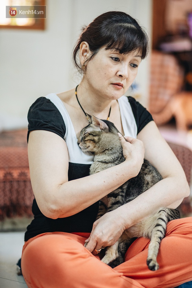 Nhà Mèo và câu chuyện cô chủ nhặt nuôi hàng trăm chú mèo bệnh tật về chăm sóc: Nếu sống, con sẽ được ở lại đây mãi mãi - Ảnh 6.