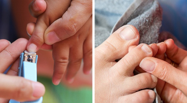 9 bộ phận trên cơ thể ai cũng tưởng là thừa thãi nhưng hóa ra lại có công dụng hết sức ấn tượng, thiếu là không được - Ảnh 4. 9 bộ phận trên cơ thể ai cũng tưởng là thừa thãi nhưng hóa ra lại có công dụng hết sức ấn tượng, thiếu là không được - Ảnh 4.