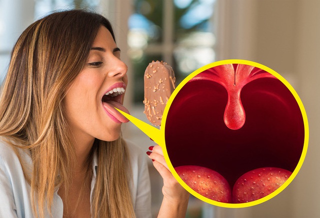 9 bộ phận trên cơ thể ai cũng tưởng là thừa thãi nhưng hóa ra lại có công dụng hết sức ấn tượng, thiếu là không được - Ảnh 5. 9 bộ phận trên cơ thể ai cũng tưởng là thừa thãi nhưng hóa ra lại có công dụng hết sức ấn tượng, thiếu là không được - Ảnh 5.
