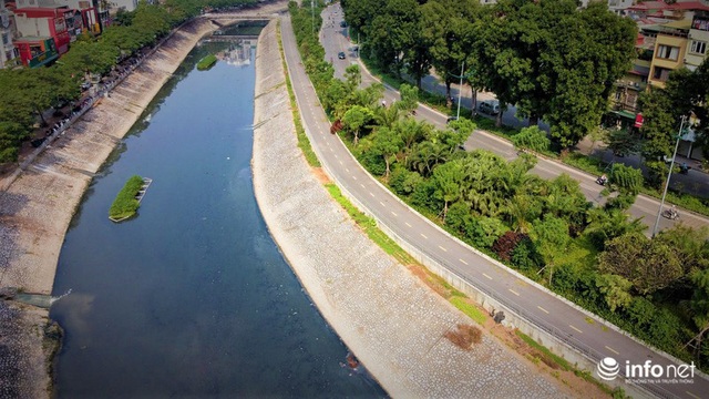 Vườn rau xanh non mơn mởn dọc đường Láng được tưới bằng... nước sông Tô Lịch - Ảnh 1.