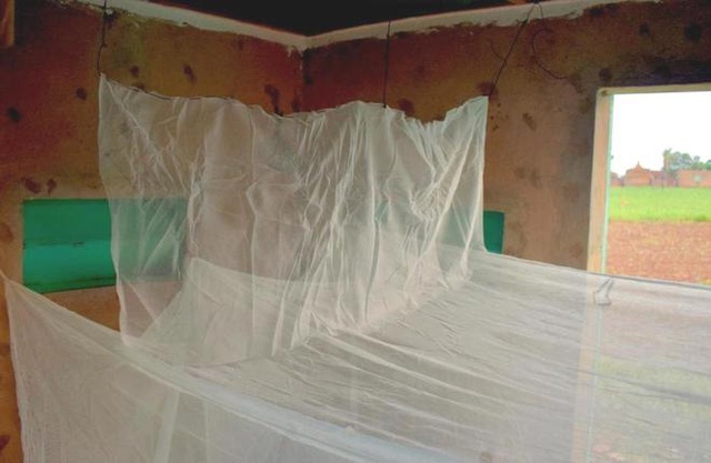 Các nhà khoa học phát triển thành công loại màn vừa an toàn với người, vừa tiêu diệt muỗi cực hiệu quả - Ảnh 2.