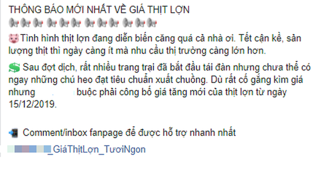 Giá thịt lợn tiếp tục tăng mạnh ngày giáp Tết, phần lòng non tưởng đùa mà tăng thật tới 85.000 đồng/kg  - Ảnh 1.