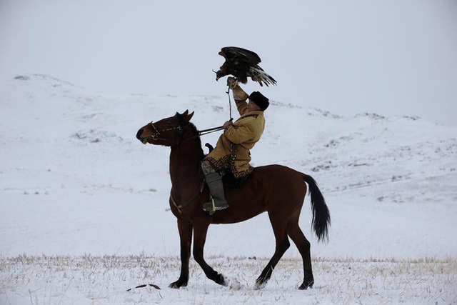 Những chú đại bàng vàng dũng mãnh bên cạnh thợ săn Kazakhstan - Ảnh 3. Những chú đại bàng vàng dũng mãnh bên cạnh thợ săn Kazakhstan - Ảnh 3.