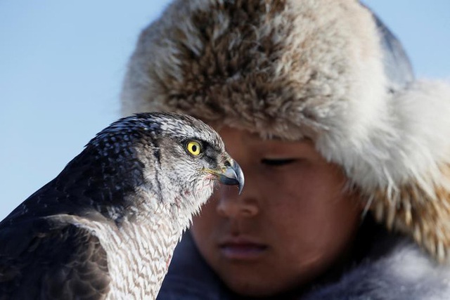 Những chú đại bàng vàng dũng mãnh bên cạnh thợ săn Kazakhstan - Ảnh 6. Những chú đại bàng vàng dũng mãnh bên cạnh thợ săn Kazakhstan - Ảnh 6.