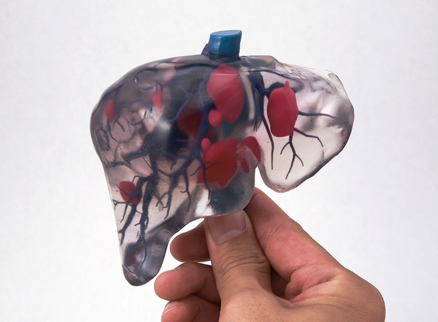 Những lá gan được in 3D sinh học sẽ tạo ra cuộc cách mạng trong lĩnh vực cấy ghép nội tạng - Ảnh 3. Những lá gan được in 3D sinh học sẽ tạo ra cuộc cách mạng trong lĩnh vực cấy ghép nội tạng - Ảnh 3.