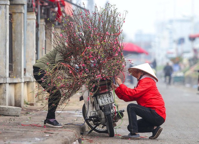  Đào Nhật Tân nở sớm, nhiều tuyến phố Hà Nội ngập tràn sắc xuân  - Ảnh 6.