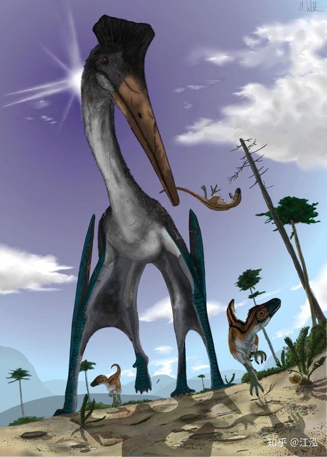 Nếu khủng long bay không bị tuyệt chủng, con người có thể thuần hóa chúng thành thú cưỡi không? - Ảnh 8.