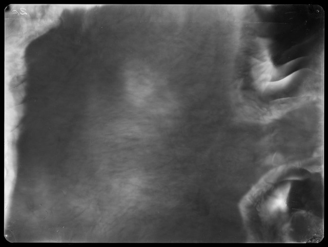 Người nghệ sĩ bắt phóng xạ ở Chernobyl hiện nguyên hình - Ảnh 9. Người nghệ sĩ bắt phóng xạ ở Chernobyl hiện nguyên hình - Ảnh 9.