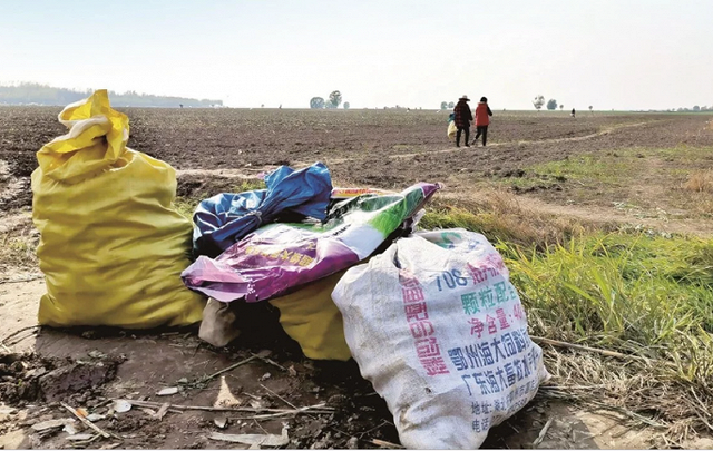 Cho hàng xóm xin vài ba củ cải, nông dân mất trắng vụ mùa gần tỷ đồng - Ảnh 1.