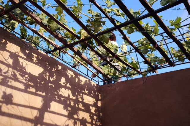 Vườn rau 7 bậc thang xanh tươi trên mái nhà của vợ chồng trung niên được các con xây tặng ở Quảng Ngãi - Ảnh 11.