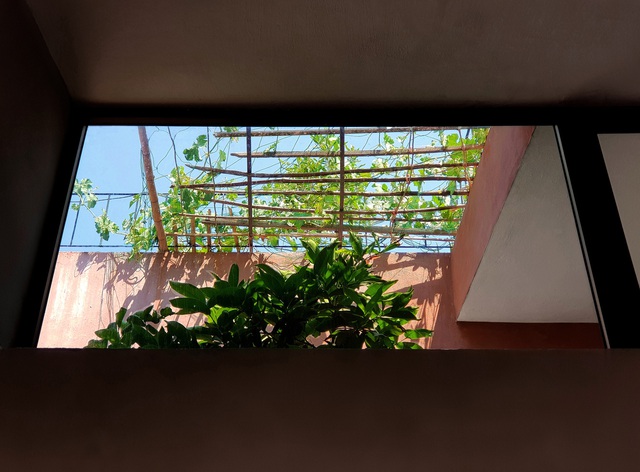 Vườn rau 7 bậc thang xanh tươi trên mái nhà của vợ chồng trung niên được các con xây tặng ở Quảng Ngãi - Ảnh 12.