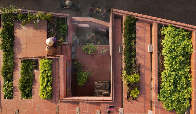 Vườn rau 7 bậc thang xanh tươi trên mái nhà của vợ chồng trung niên được các con xây tặng ở Quảng Ngãi - Ảnh 3.