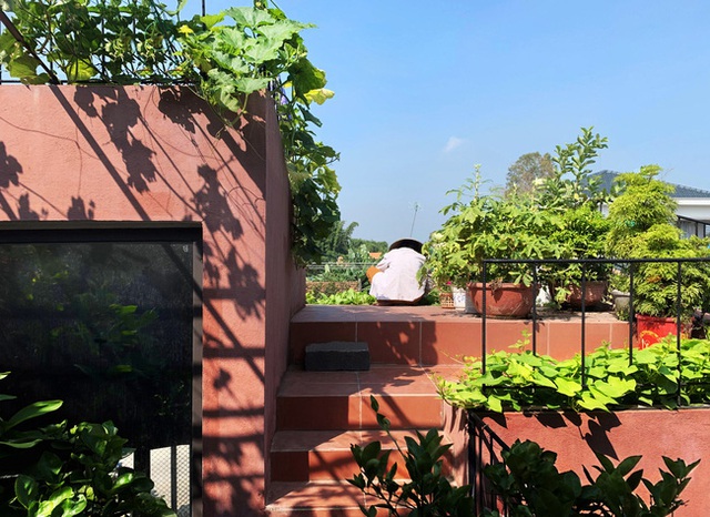 Vườn rau 7 bậc thang xanh tươi trên mái nhà của vợ chồng trung niên được các con xây tặng ở Quảng Ngãi - Ảnh 5.