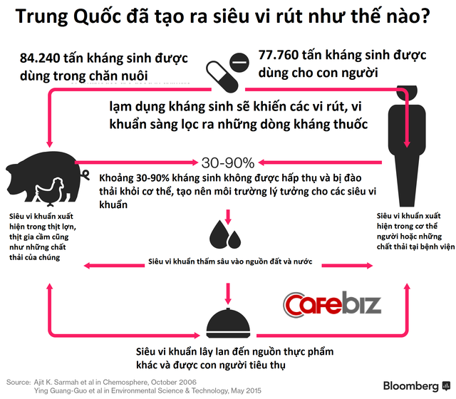 Thịt lợn tiêm kháng sinh Trung Quốc và những hệ luỵ khiến thế giới lo sợ - Ảnh 2.
