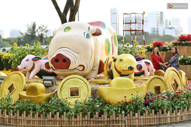 Ngắm đàn lợn với biểu cảm buồn cả thế giới ngộ nghĩnh và hài hước trên đường hoa xuân quận 7 - Ảnh 12.