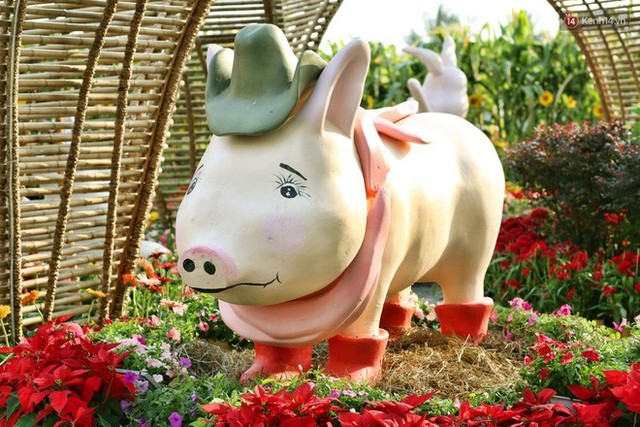 Ngắm đàn lợn với biểu cảm buồn cả thế giới ngộ nghĩnh và hài hước trên đường hoa xuân quận 7 - Ảnh 4.
