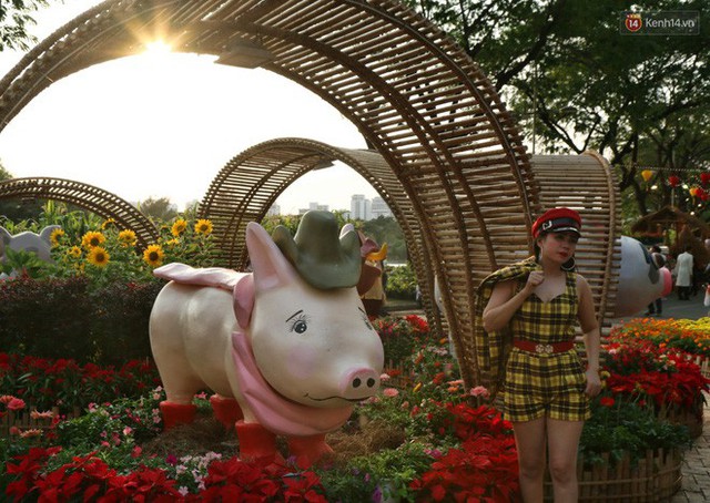 Ngắm đàn lợn với biểu cảm buồn cả thế giới ngộ nghĩnh và hài hước trên đường hoa xuân quận 7 - Ảnh 5.