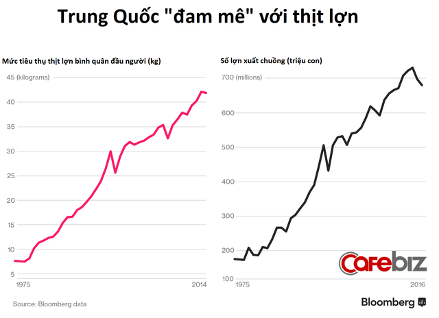 Thịt lợn tiêm kháng sinh Trung Quốc và những hệ luỵ khiến thế giới lo sợ - Ảnh 5.