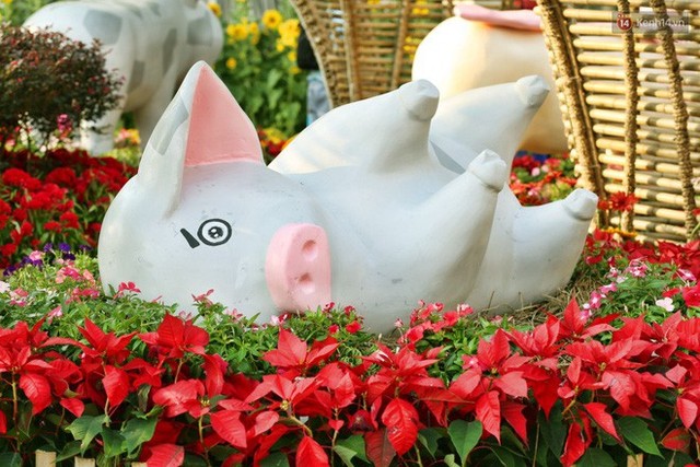 Ngắm đàn lợn với biểu cảm buồn cả thế giới ngộ nghĩnh và hài hước trên đường hoa xuân quận 7 - Ảnh 7.