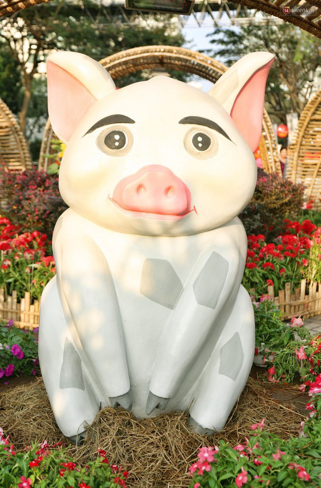 Ngắm đàn lợn với biểu cảm buồn cả thế giới ngộ nghĩnh và hài hước trên đường hoa xuân quận 7 - Ảnh 9.