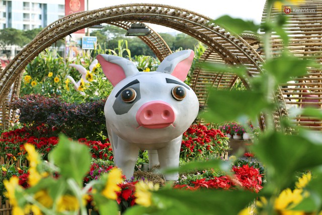 Ngắm đàn lợn với biểu cảm buồn cả thế giới ngộ nghĩnh và hài hước trên đường hoa xuân quận 7 - Ảnh 10.