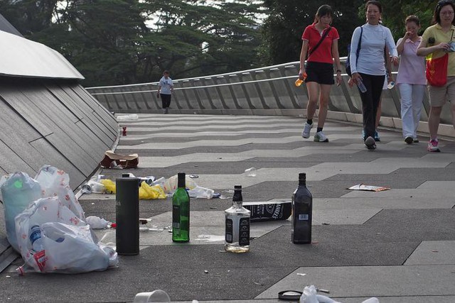 Từ 50 năm trước, người Singapore đã làm gì để trở thành đô thị xanh, sạch nhất châu Á? - Ảnh 3.