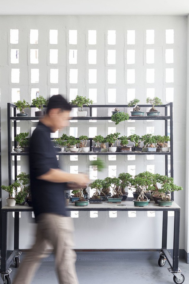 Sau 15 năm bỏ hoang, ngôi nhà 300m² được cặp vợ chồng trẻ hồi sinh cực hiện đại lại có vườn bonsai đáng mơ ước ở ban công - Ảnh 13. Sau 15 năm bỏ hoang, ngôi nhà 300m² được cặp vợ chồng trẻ hồi sinh cực hiện đại lại có vườn bonsai đáng mơ ước ở ban công - Ảnh 13.
