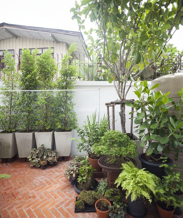 Sau 15 năm bỏ hoang, ngôi nhà 300m² được cặp vợ chồng trẻ hồi sinh cực hiện đại lại có vườn bonsai đáng mơ ước ở ban công - Ảnh 7. Sau 15 năm bỏ hoang, ngôi nhà 300m² được cặp vợ chồng trẻ hồi sinh cực hiện đại lại có vườn bonsai đáng mơ ước ở ban công - Ảnh 7.