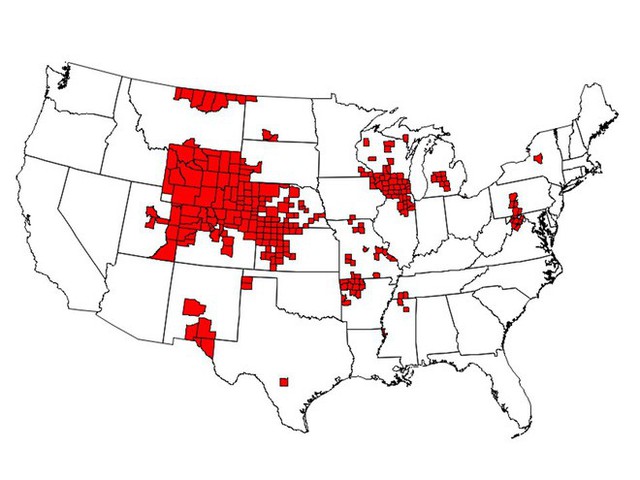 Đại dịch biến hươu thành zombie đang lan rộng khắp 24 bang nước Mỹ, có khả năng lây sang người - Ảnh 2.