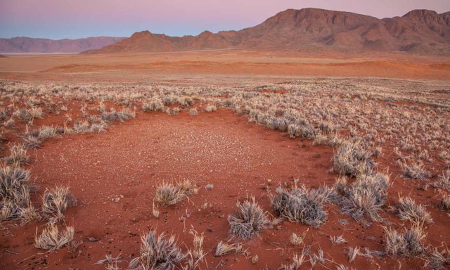 Những vòng tròn thần tiên đầy bí ẩn giữa sa mạc khiến khoa học đau đầu chuẩn bị có một lời giải mới - Ảnh 2.