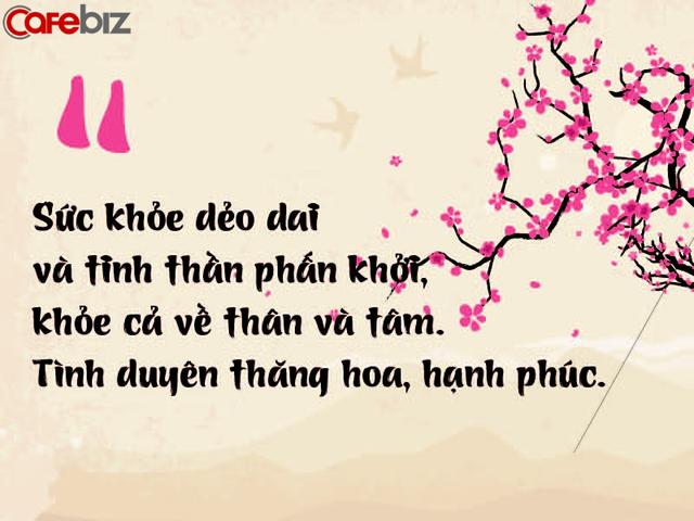 Chi tiết tử vi tuổi Mão năm 2019: Hưởng trọn Thiên thời, Địa lợi, nhân hòa nhưng phải biết hàm ơn đúng cách, tài lộc mới vững bền  - Ảnh 2.