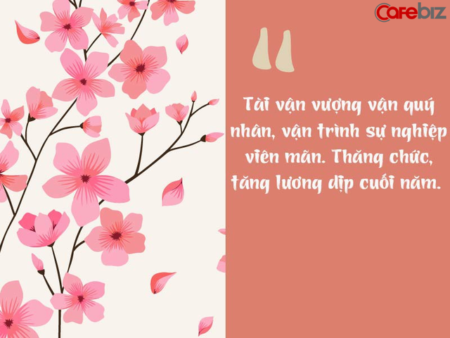 Chi tiết tử vi tuổi Mùi năm 2019: Thời cơ chín muồi, kinh doanh phát tài, thành tựu rực rỡ  - Ảnh 1.