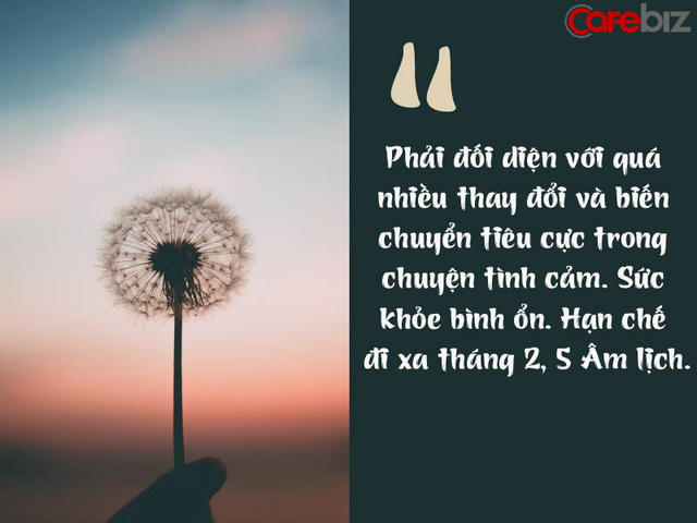 Chi tiết tử vi tuổi Mùi năm 2019: Thời cơ chín muồi, kinh doanh phát tài, thành tựu rực rỡ  - Ảnh 2.