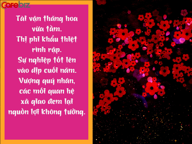 Chi tiết tử vi tuổi Hợi năm 2019: Thị phi rình rập, họa - phúc khôn lường, các mối quan hệ xã giao mang lại nguồn lợi không tưởng - Ảnh 1.