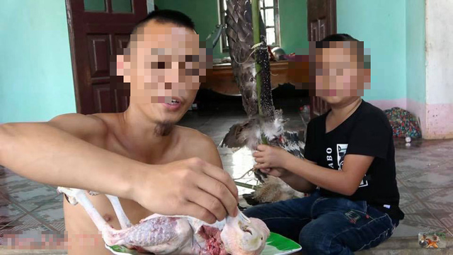 Anh em Tam Mao TV bị nghi thịt chim quý rồi quay clip: Không còn chứng cứ vẫn có thể xử phạt - Ảnh 1. Anh em Tam Mao TV bị nghi thịt chim quý rồi quay clip: Không còn chứng cứ vẫn có thể xử phạt - Ảnh 1.