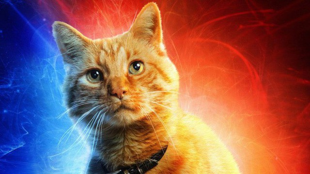 Đây, tất tần tật những gì cần biết về Goose - chú mèo siêu hot trong Captain Marvel - Ảnh 7.