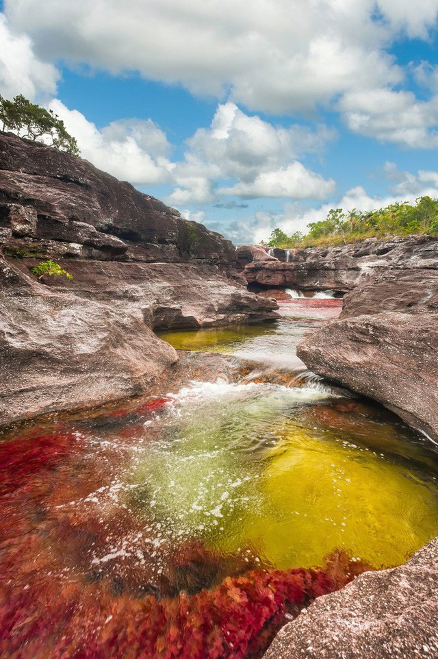Đây là con sông đẹp nhất thế giới: Lung linh 5 màu sắc, được mệnh danh là cầu vồng sống vi diệu nhất - Ảnh 13.