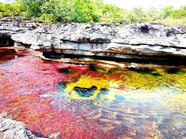 Đây là con sông đẹp nhất thế giới: Lung linh 5 màu sắc, được mệnh danh là cầu vồng sống vi diệu nhất - Ảnh 14.