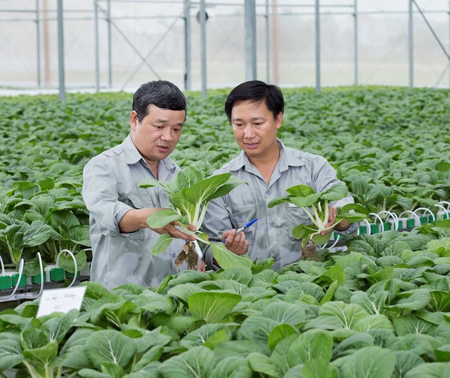 “VinEco muốn lan tỏa mô hình nông nghiệp công nghệ cao, thay đổi tư duy làm nông nghiệp của người Việt” - Ảnh 1. “VinEco muốn lan tỏa mô hình nông nghiệp công nghệ cao, thay đổi tư duy làm nông nghiệp của người Việt” - Ảnh 1.