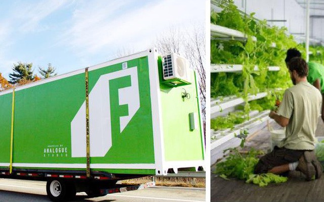 Freight Farms và công nghệ trồng rau tương lai: Không đất, không hóa chất, bất chấp thời tiết, hiệu quả gấp 80 lần và thu về 39.000 USD mỗi container