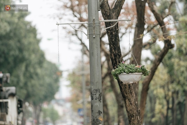 Clip bức xúc: Nhiều người dừng xe giữa đường phố Hà Nội mót hoa trang trí, lãnh đạo Công ty Công viên cây xanh lên tiếng - Ảnh 8.