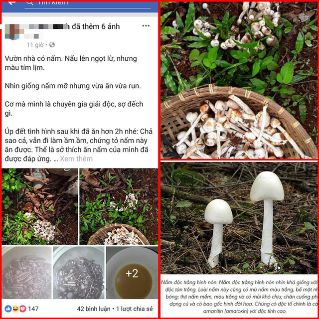  Chiêu câu view có 1 không 2: Khoe ăn cả nồi nấm độc, nếu ngộ độc sẽ giải bằng tương tamari - Ảnh 1.