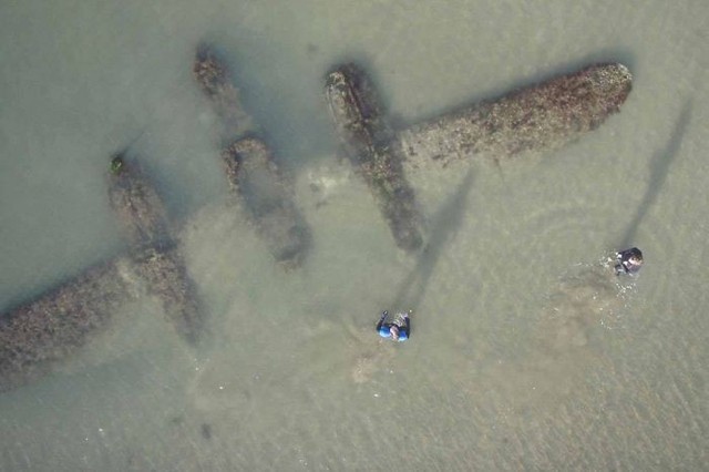 Chùm ảnh: Những tác phẩm nghệ thuật siêu thực nhất của tạo hóa mà con người từng tìm thấy được trên bãi biển - Ảnh 13.