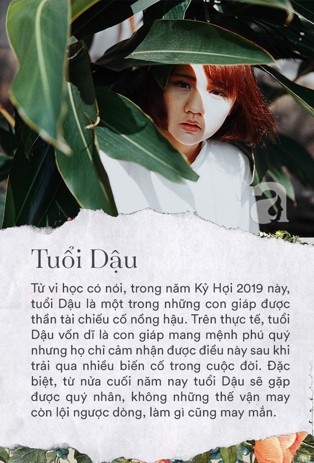  Trời sinh 3 con giáp mang mệnh phú quý không thể chối cãi, nửa cuối năm 2019 tài vận bùng nổ bất ngờ, sự nghiệp tình duyên đều mỹ mãn - Ảnh 1.